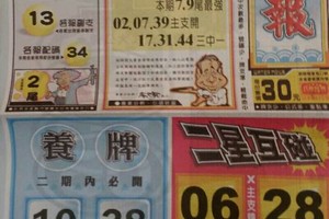 11/8 港六合 【水報，國際時報，現代期報】27張財報讓你參考，參考。