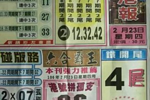 2/23 港六合 【台北港報，港天下，錢員外，黃大仙，龍華彩報，金雞母，鶴仙子手冊，玄天上帝靈數】多張財報讓你參考，參考。