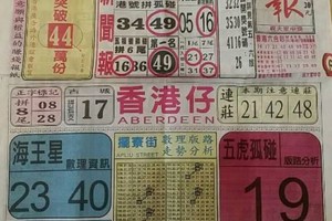 4/29 港六合 【中國新聞報，聖法壇，保玄宮，道德壇，李府，武聖，好彩運】目標三星，殺豬頭，參考，參考。