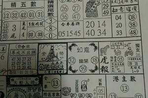 6/6 六合【金橋資訊，龍財神報】。參考。