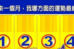 超神測驗~【未來一個月，我在哪方面的運勢最威？】。留言1688一路發。。