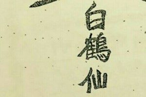 9/13 港 六合.（白鶴仙姑送財報，白鶴童子）。殺豬版。喜歡何數自由配，配出234星，參考，參考。