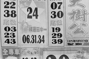 9/27 港 六合.（福多寶，大樹公，靈山宮，義民爺，三聖宮，土地公，）。喜歡何數自由配，配出234星，參考，參考。