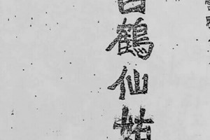 10/2港 六合.（白鶴仙姑送財報，白鶴童子）多張財報重點釋放，殺豬版。喜歡何數自由配，配出234星，參考，參考。