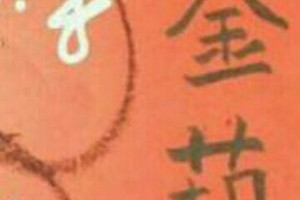 10/6 六合 【金葫蘆，韓信爺，武報，天龍山，蕭老師，大勝利，三聖宮，土地公，慶安宮白鶴仙姑，白鶴童子發現金，黃大仙，鳴報，福籤】 多張選擇讓你殺豬用。參考。參考。。