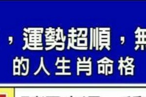 2017年，運勢超順，無往不利的人生肖命格