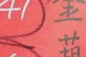 11/5 港六合 【金葫蘆，韓信爺，慶安宮，贏牌，聖和宮，溪底】多張財報讓你參考，參考。
