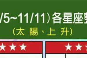 情況緊急~【11/5~11/11  各星座的整體運勢】看看你旺不旺？