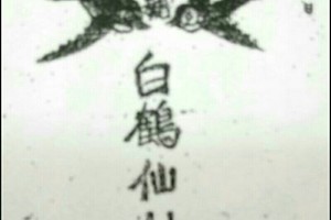 11/8 港六合 【白鶴仙姑送財報】46張財報讓你參考，參考。