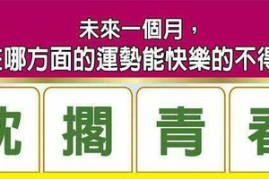 超神準測驗~【未來一個月，我在哪方面的運勢能快樂的不得了？？】留言一路發。16888。。 