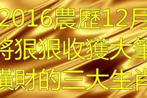 注意囉！“2016年農曆12月將狠狠收穫大筆橫財的3大生肖”。快看看有沒有你呢？