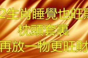 12生肖睡覺也旺財 枕頭套裡再放一物更旺財！！！看完趕快去旺財。