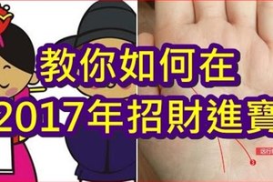 教你如何在2017年招財進寶