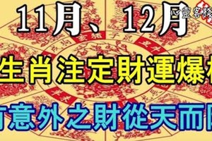 很重要，快看，11.12月會有三大生肖注定財運爆，意外之財從天而降，快接起！