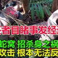 【蛇咬死2男案】生還者目睹事發經過！撥弄蛇窩招殺身之禍， 蛇群攻擊根本無法反抗！