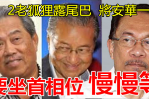 安華兄你要坐首相位子？ 請慢慢等吧~~老馬和慕尤丁這兩隻老狐狸，露出尾巴了……