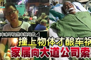 客货车来不及煞车撞马劳．撞上物体才酿车祸 家属向大道公司索赔