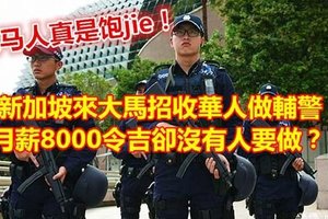 新加坡来大马招收华人做辅警，月薪8000令吉却没有人要做？！！