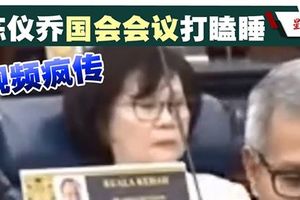 国会会议打瞌睡短片疯传．陈仪乔：吃了药昏昏欲睡