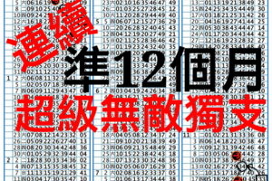 12/3連續不中斷12個月獨支版