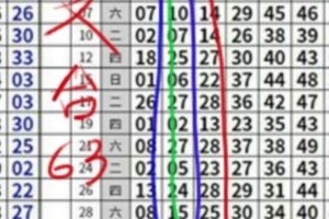 2/12六合 定點 專車立正不動