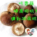 吃香菇提升身體抵抗力