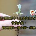 ​種子開始都小，你的未來一定不可限量