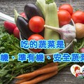 為了健康，吃的蔬菜是有機、準有機、還是安全蔬菜?