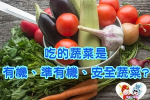 為了健康，吃的蔬菜是有機、準有機、還是安全蔬菜?