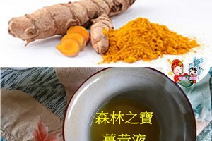 話說薑的234～薑黃篇