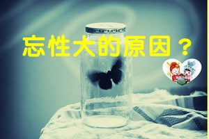 造成記憶力下降的原因？忘性大？