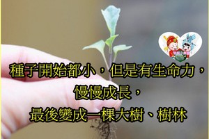 ​種子開始都小，你的未來一定不可限量