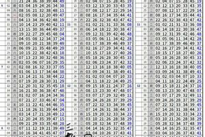 1/16六合彩定位版路!給我立正站好版'