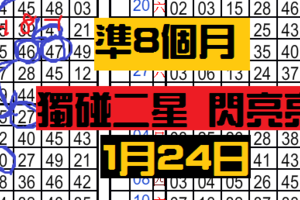 1月24日 六合彩 獨碰二星 ~準8個月 ~閃亮亮