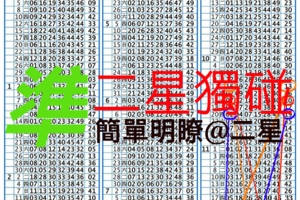 12/1六合彩獨碰簡單名嘹2中2版路