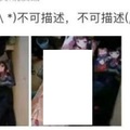 二次元慘案，婆媳矛盾爆發，結果宅“老婆”被婆婆廢了！