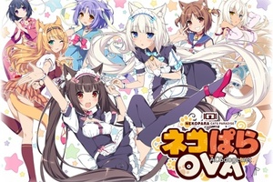 7700 名紳士的上貓夢想，NEKOPARA OVA 眾籌已籌集超80 萬美元資金
