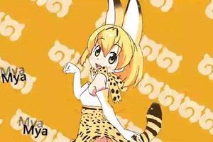 《獸娘動物園》聲優COS藪貓