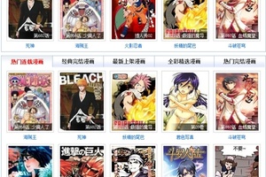 日本慶應義塾大學副教授發表日本漫畫盜版研究報告