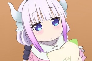什麼都說二次元的錯是不負責任，日本女性議員公開表示不要將二次元視為犯罪原因