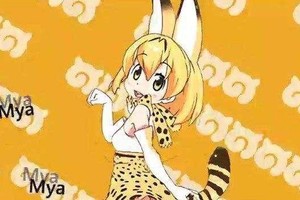 開黑了！《獸娘動物園》是否惡意炒作出來的