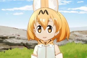 打敗Fate？某些日推特網友堅信《獸娘動物園》銷量為14萬