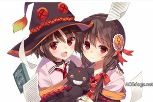 惠惠騎臉穩贏，《為美好的世界獻上祝福》動畫系列構成暗示動畫還有續作可能