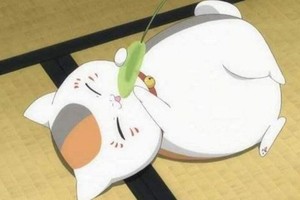 今晚是夏目朋友！夏目官方玩《獸娘》梗
