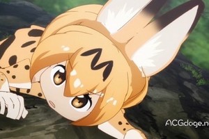  玩的就是神秘感，《獸娘動物園》的走紅原因與EVA 十分相似？