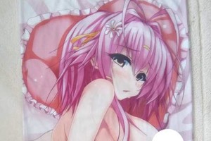 宅宅曬老婆《心目中10大最●●抱枕》一想到這些都沾有他的●液