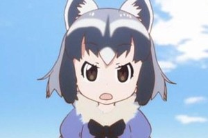 不靠譜的動物朋友！香川縣飽受浣熊摧殘