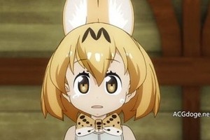 たつき監督明確說明今天《動物朋友》沒有12.2 話