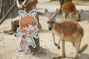 說做就做的Friends！與《獸娘》聯動的動物園成了漫展會場