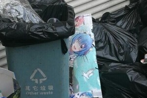 死宅3個月的見異思遷：回顧近期你們過氣的老婆們